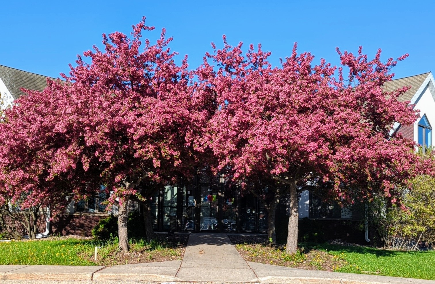 Achieving Collaborative Treatment