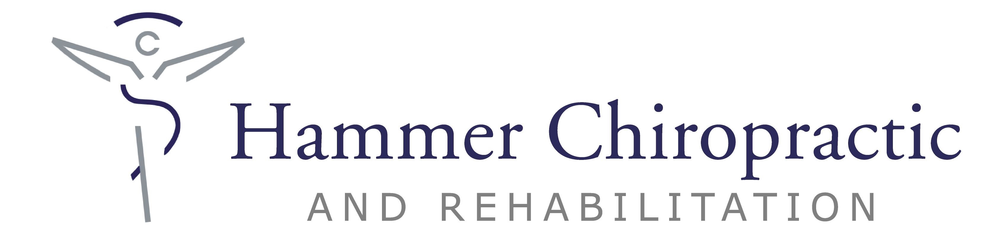 Hammer Chiropractic logo 